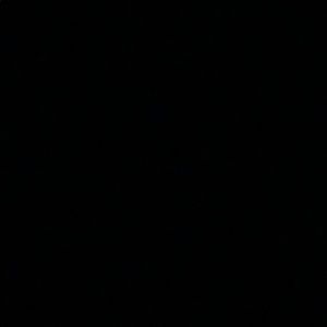 Meet your Posher, Joey